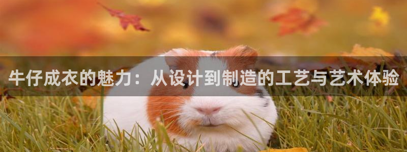天辰app娱乐