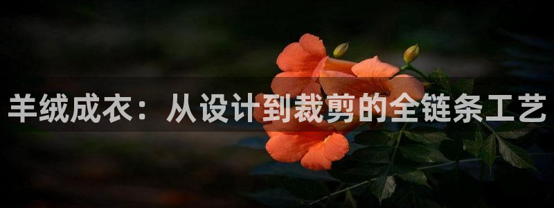 天辰娱乐2