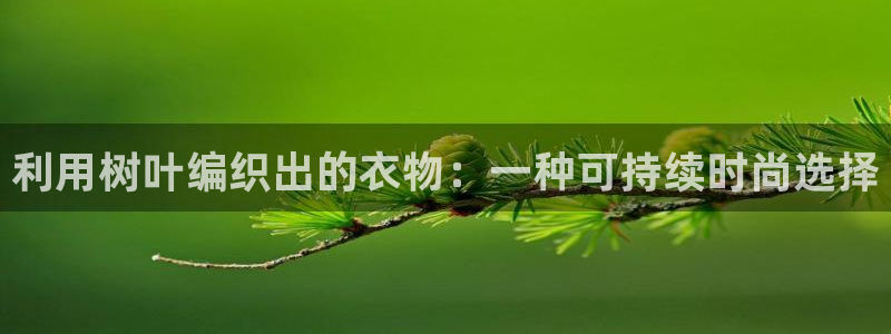 天辰娱乐会员