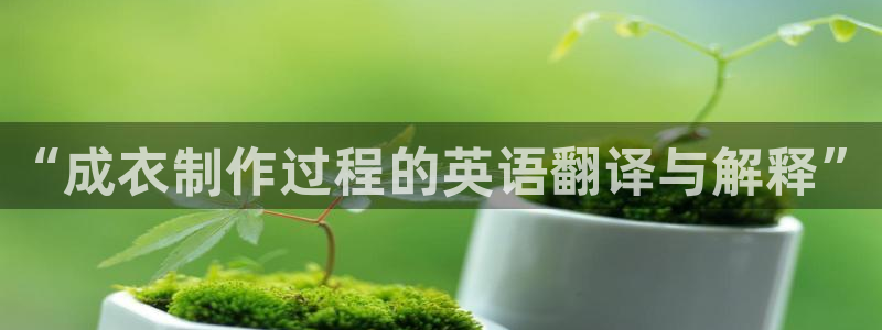 天辰娱乐视频