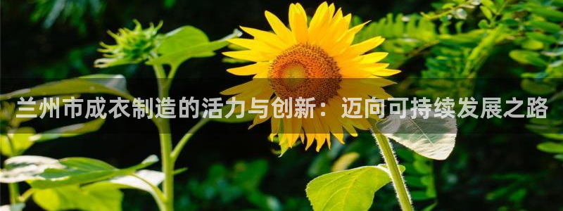 天辰娱乐下载