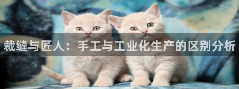 天辰娱乐557448