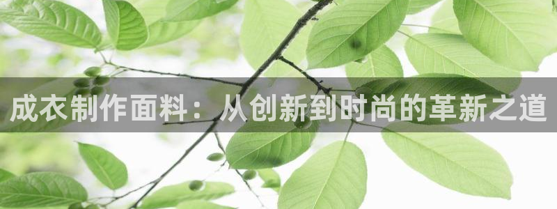 天辰辰娱乐代理