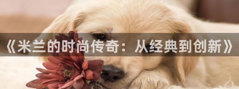 天辰娱乐51137