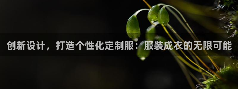天辰娱乐APP下载