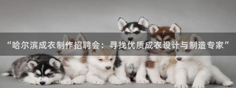 天辰娱乐输了