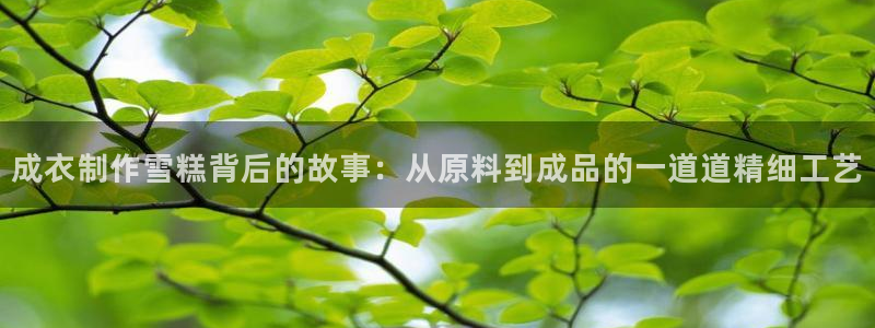 天辰娱乐 18113