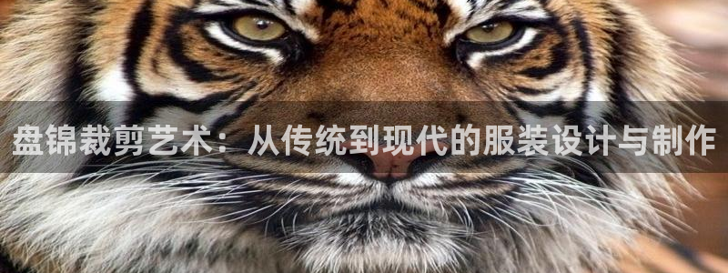 菲律宾天辰娱乐