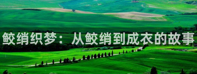 天辰娱乐官