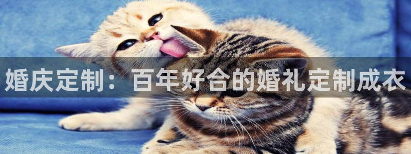 天辰娱乐 首选