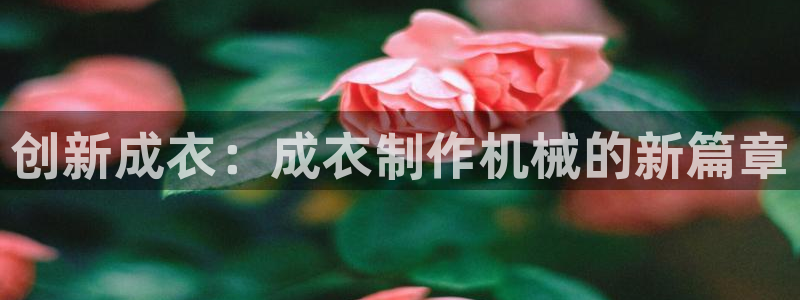 天辰娱乐鱼刺