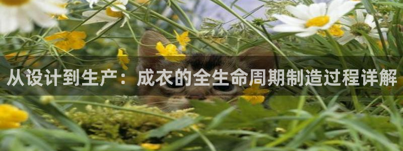 天辰娱乐-q