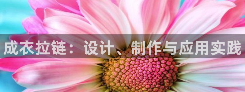 天辰娱乐网