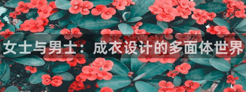 天富天辰娱乐