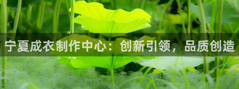 天辰团队贝高娱乐