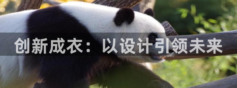 深圳天辰娱乐