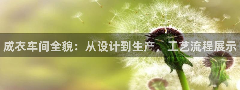 天辰娱乐待遇