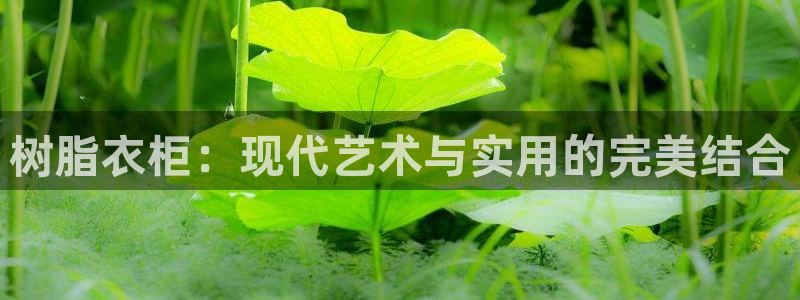天辰宝娱乐