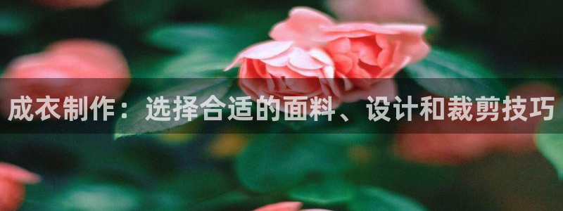 天辰娱乐的网址首页