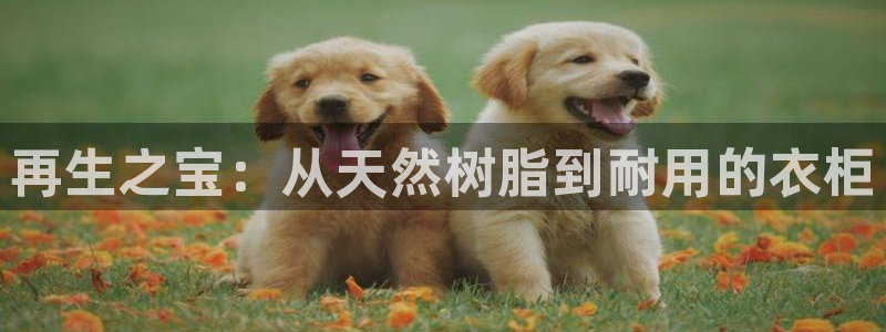 天辰娱乐白屏