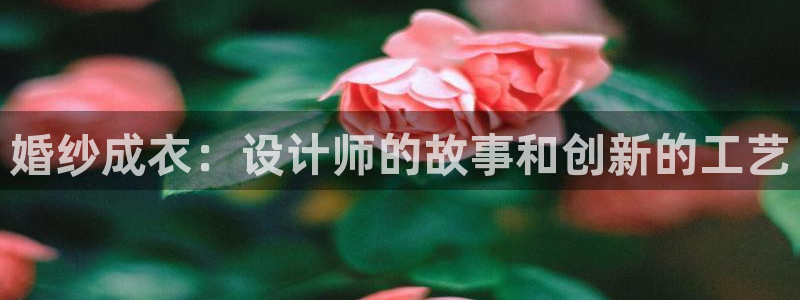 天辰娱乐_675138