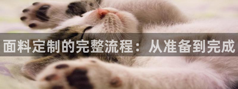 天辰娱乐登陆平台
