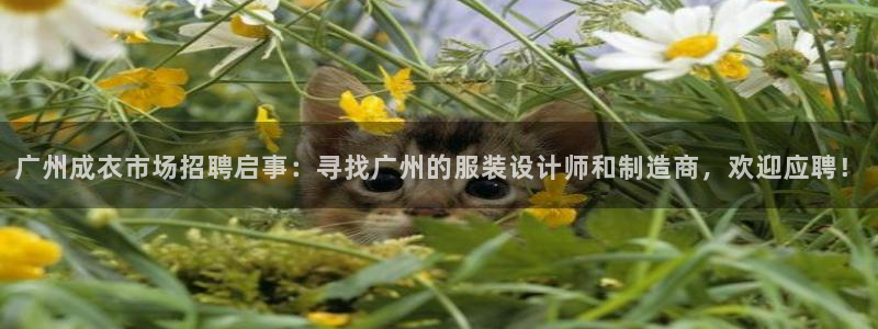 天辰娱乐app