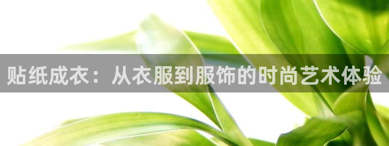 天辰娱乐软件