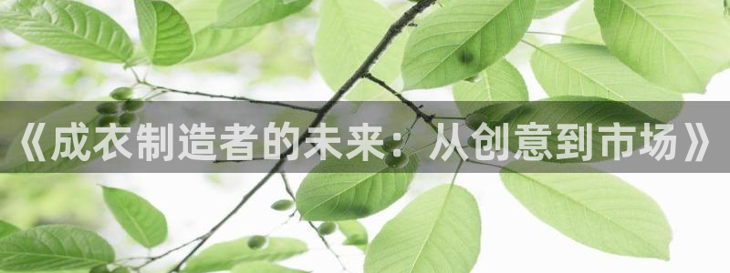 广东天辰娱乐