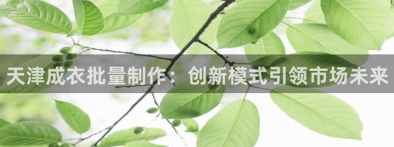天辰娱乐 728567
