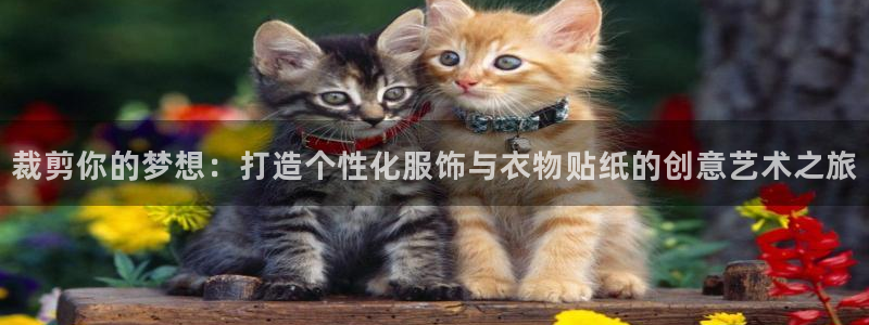 天辰娱乐路线