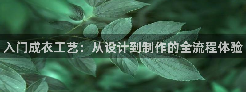 天富娱乐天辰娱乐