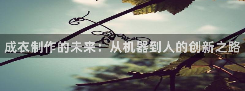 天辰娱乐 . 鱼刺