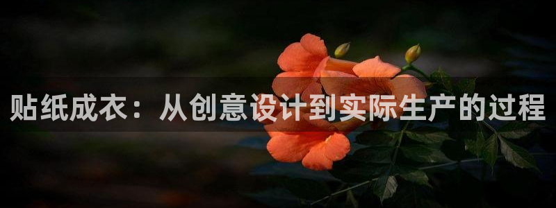 天辰娱乐平台