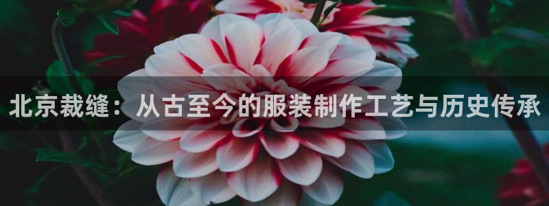 天辰娱乐44616