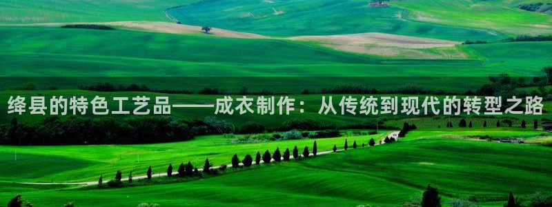 天辰娱乐51137