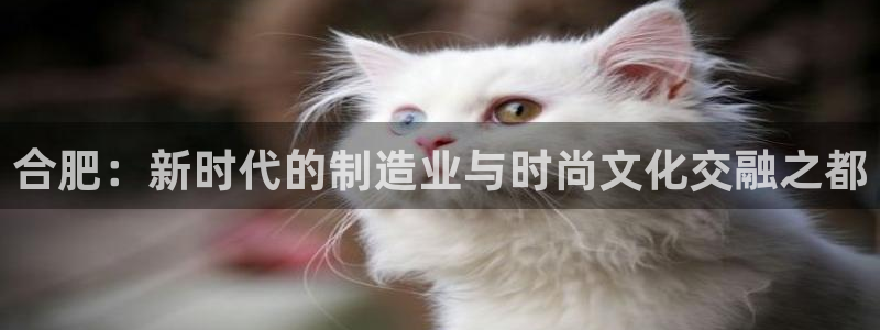 天辰娱乐公司